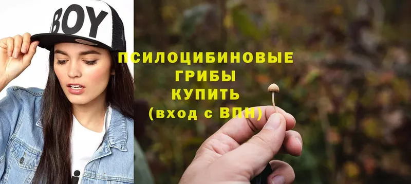 Псилоцибиновые грибы Psilocybe  Мегион 